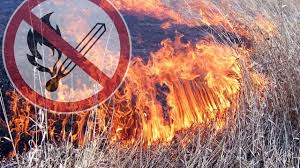 МЧС информирует! Выжигание сухой растительности запрещено!